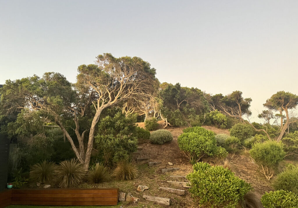 How to Determine Bush Fire Attack Level (BAL Rating)